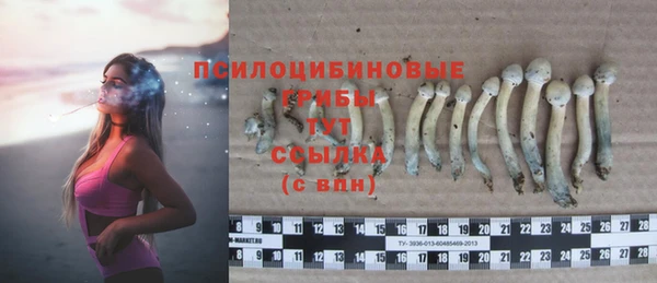 spice Белокуриха