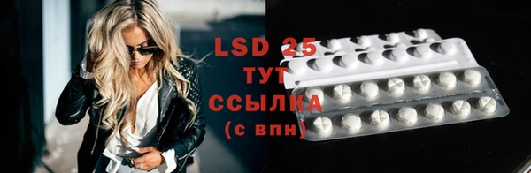 spice Белокуриха