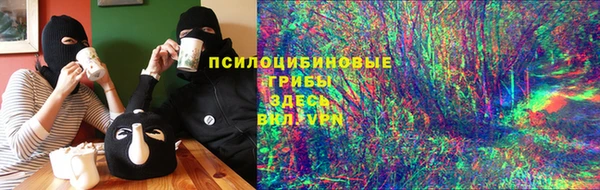spice Белокуриха