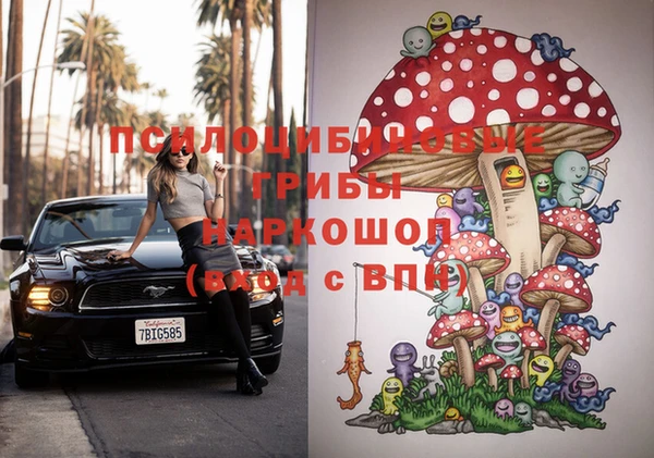 прущие крисы Баксан