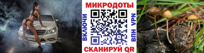 Галлюциногенные грибы Psilocybine cubensis  наркотики  Кологрив 
